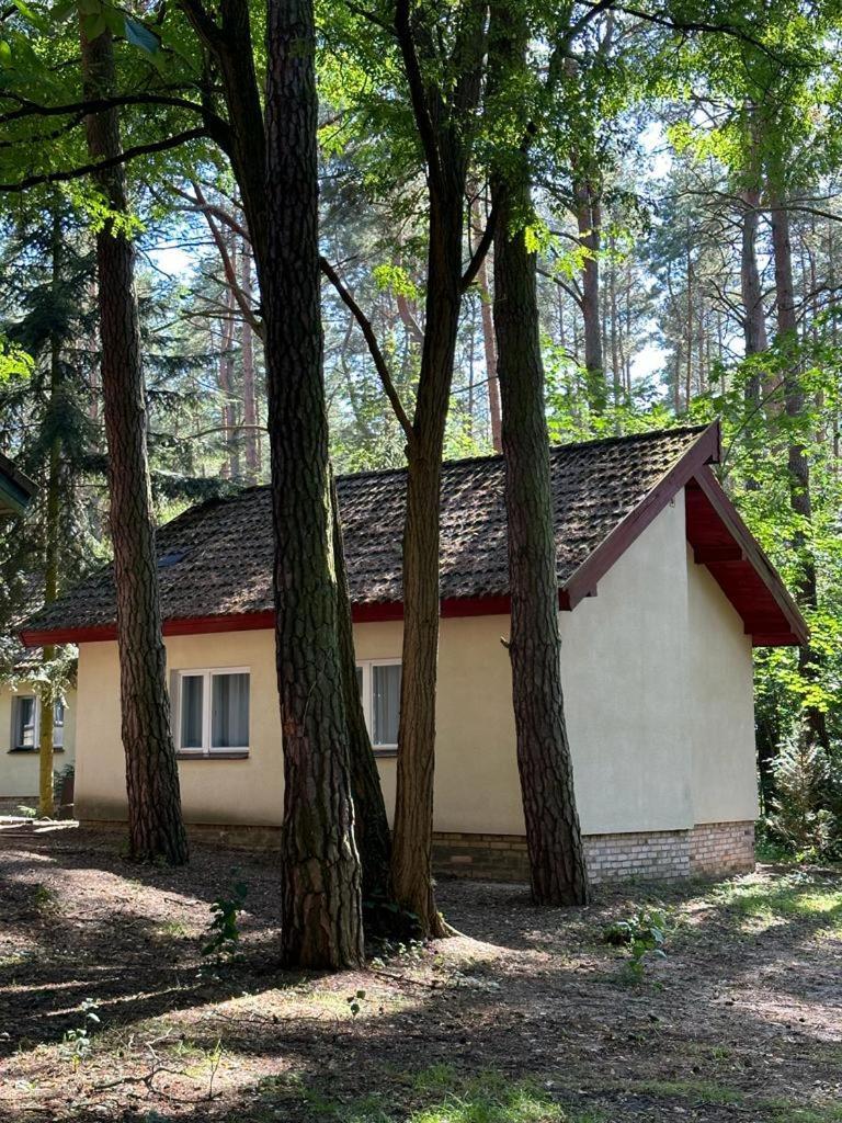 Summer House Lubniewice Ngoại thất bức ảnh